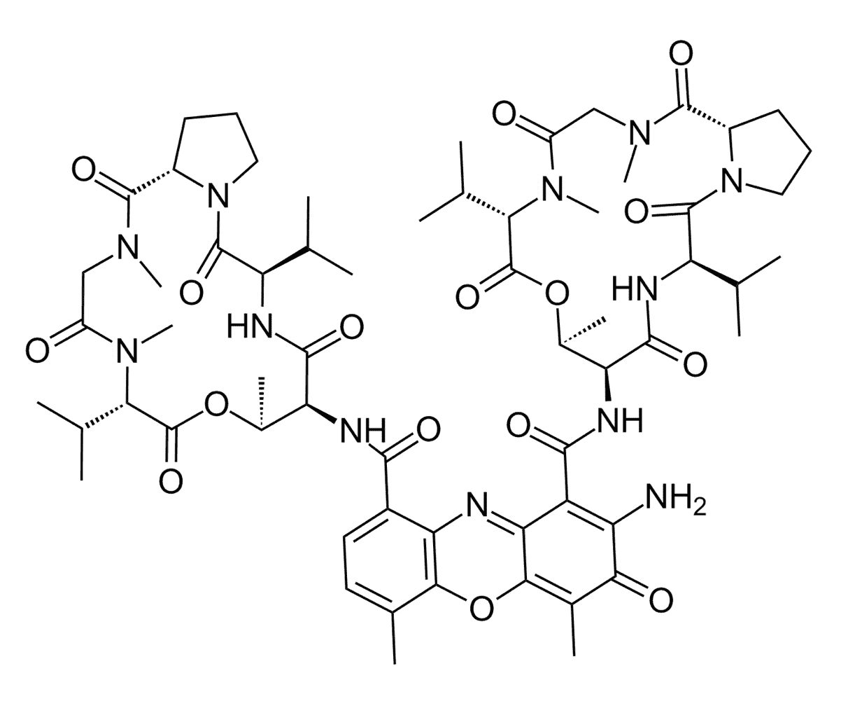 Fig.1 Dactinomycin D.